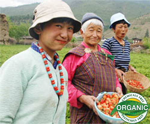 An Entire Country Goes Organic